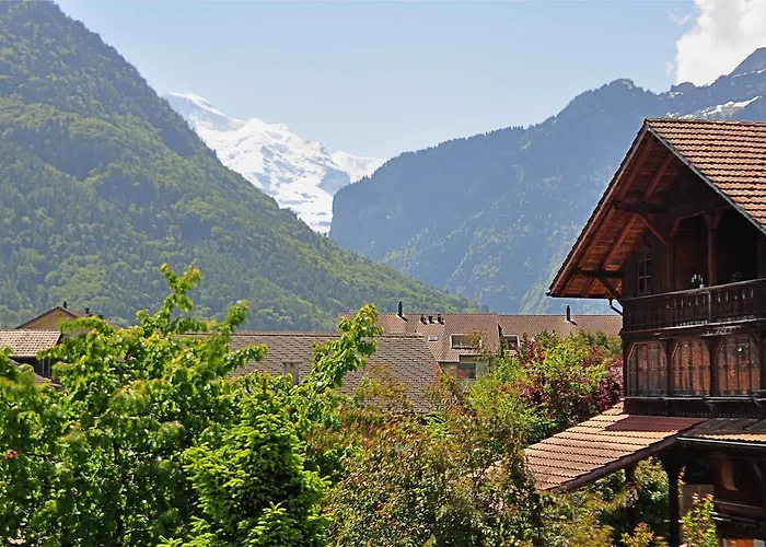 Appartamento Jungfrau Views *